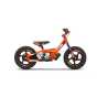 KTM REPLICA 12EDRIVE